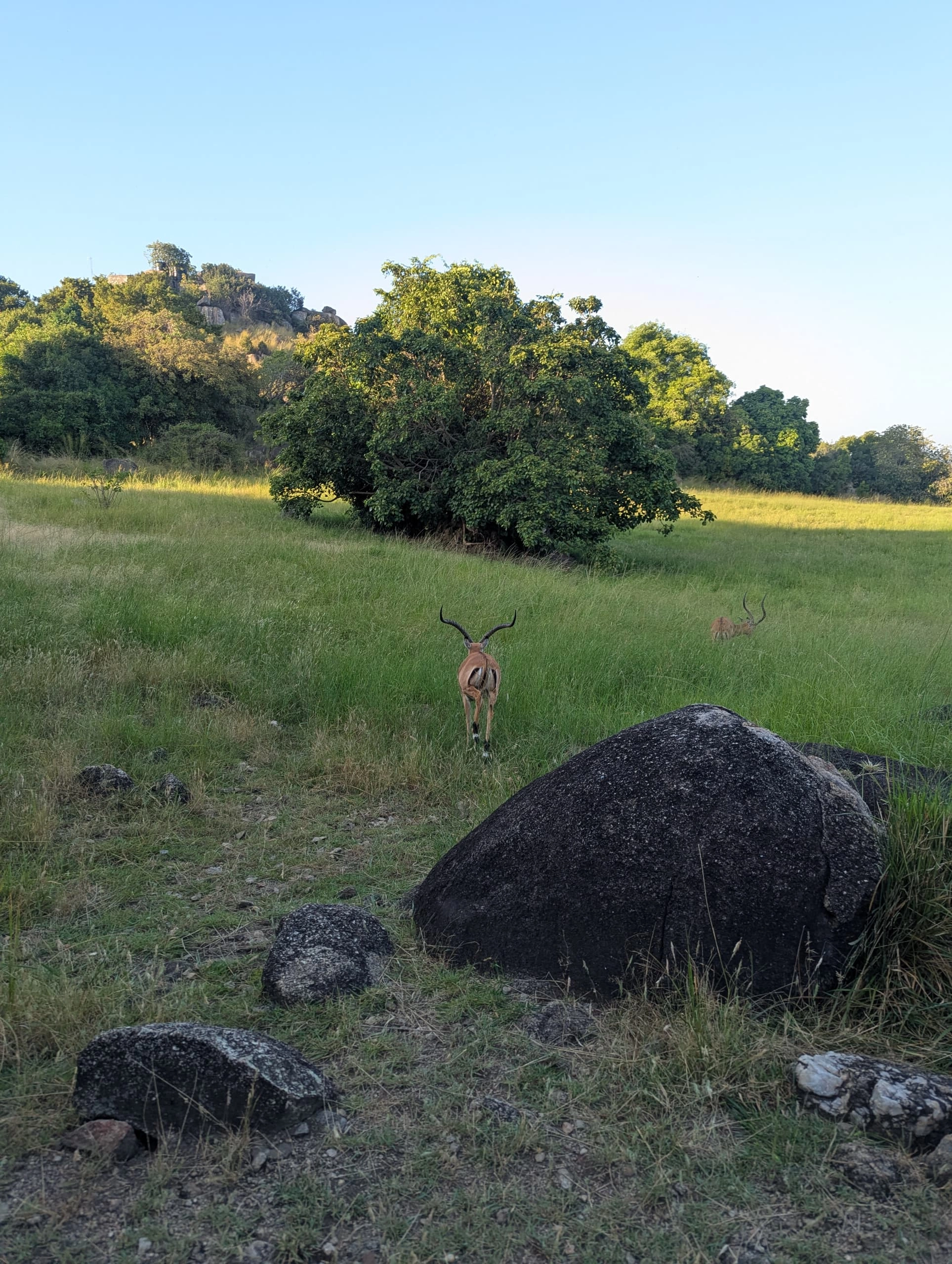 Mahale Mountains National Park